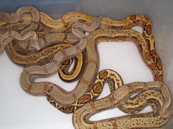 family reunion