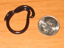 Worlds SMALLEST snake!