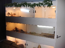 my new viv
