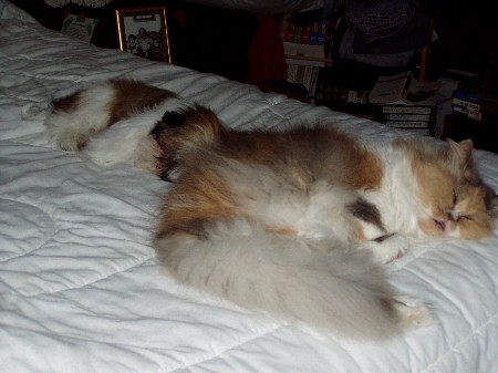 Abby and Merle