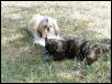 Abby and Smudge