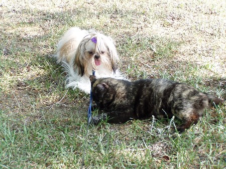 Abby and Smudge