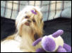 Abby and Lamby