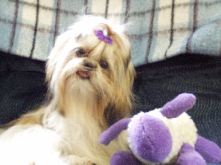 Abby and Lamby