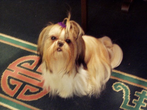 Abby After Bath