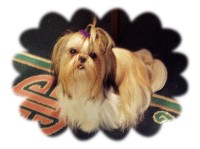 Li'l Abby