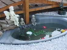 New Pond