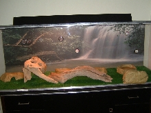 Boa tank built by boyfriend, 6 ft x 2 ft