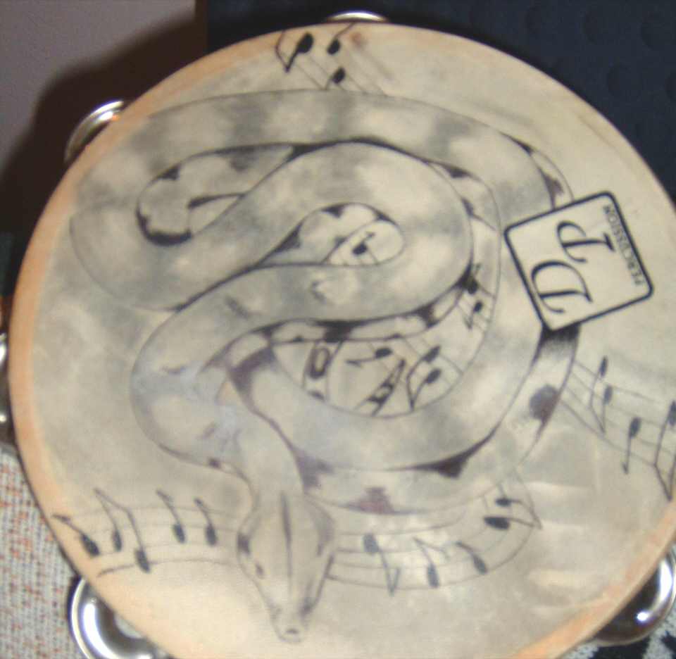 drawing of our boa on tamborine