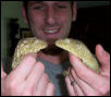 My  leachies