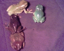 My four frogs