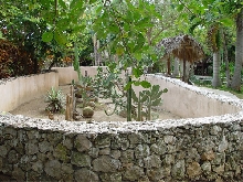 Rhino Iguana Cage