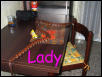 Lady