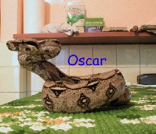 Oscar