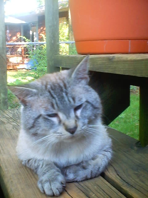 Kaspy!