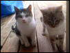 Kasper and Sly!