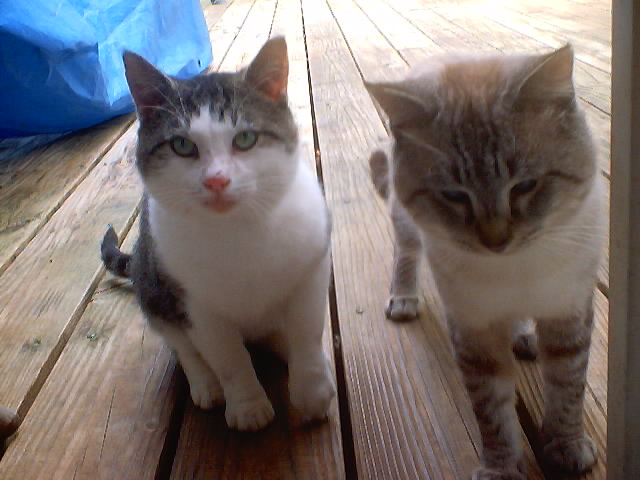 Kasper and Sly!