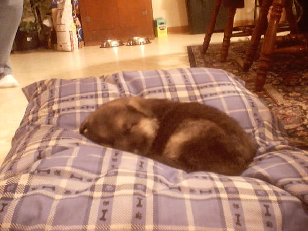 Raya's baby pic2