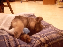Raya's Baby pics3