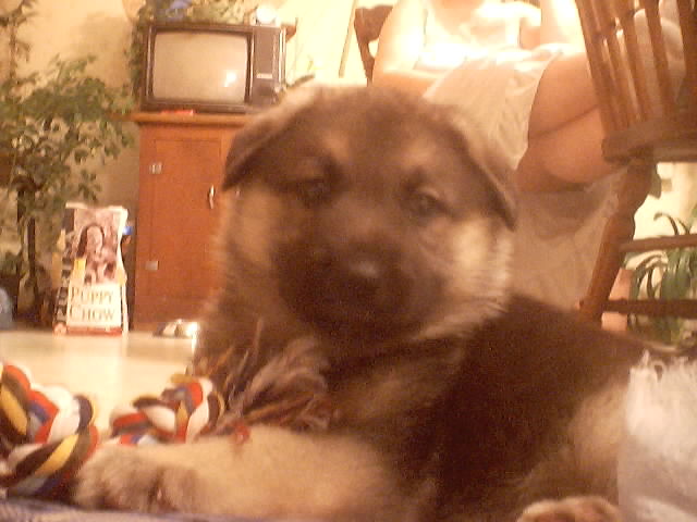 Raya's baby pics1