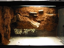 tank in progress 1