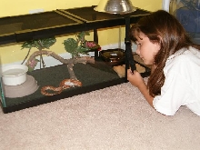 Feeding Time