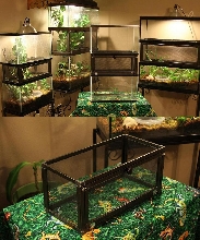Terrarium Extension