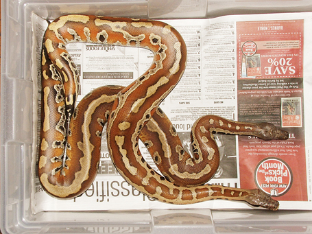 Nerd bloods! Tag and Nikita