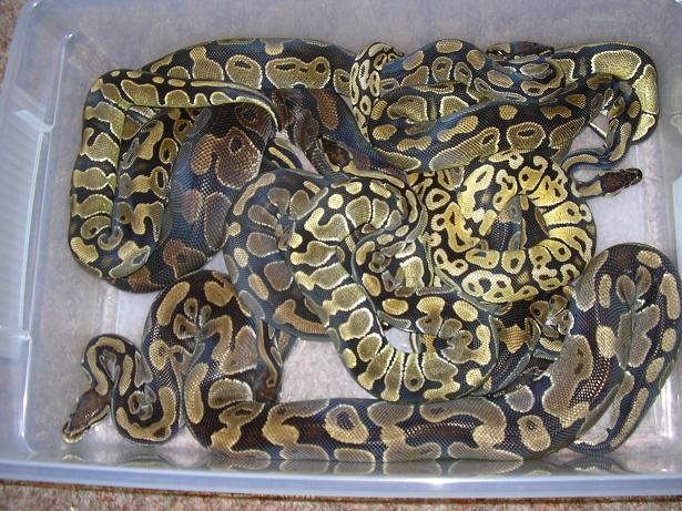 group photo