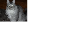 Roscoe1