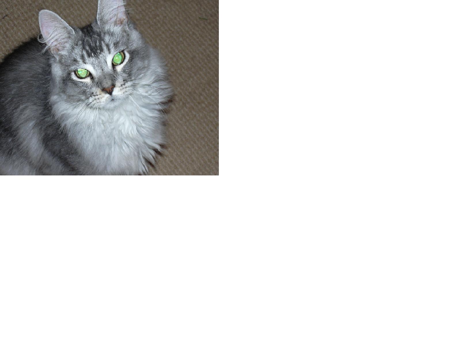 Roscoe