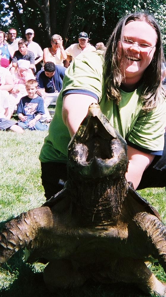Alligator Snapper