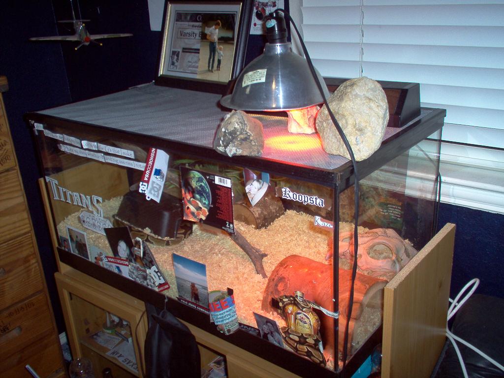 Ball Pythons cage