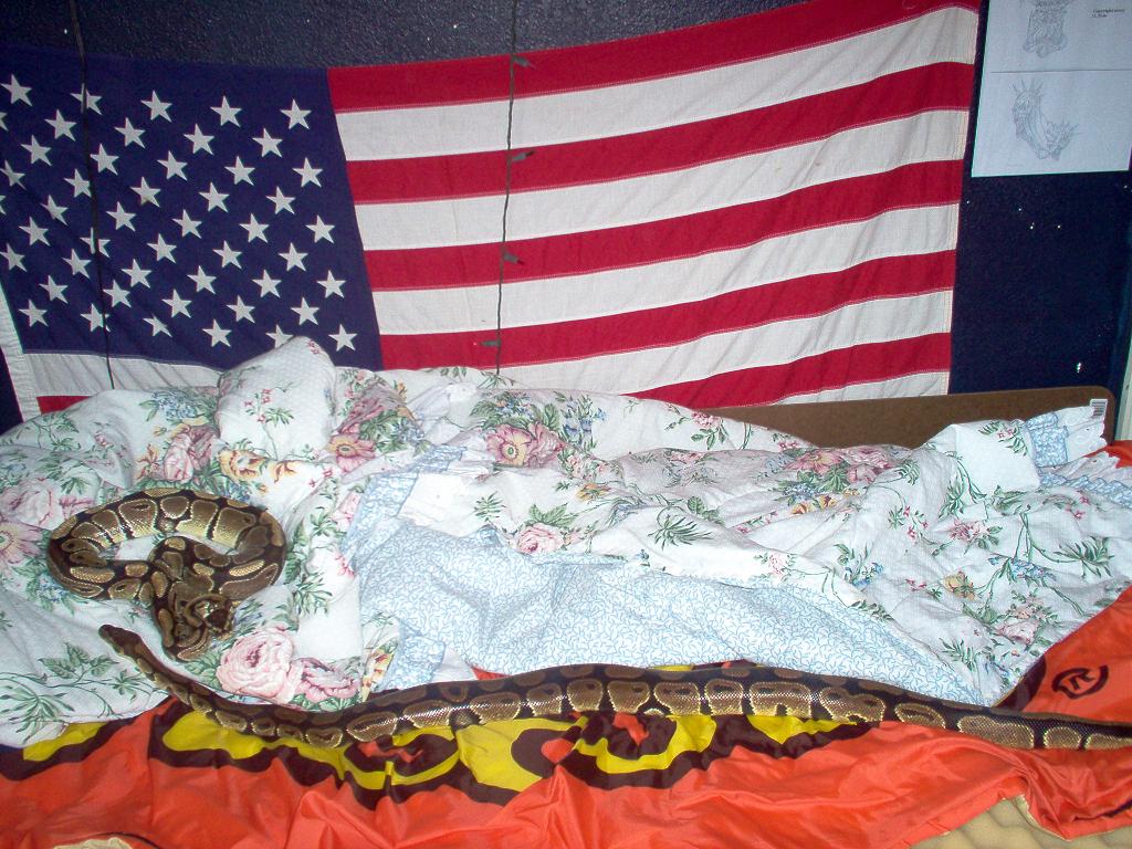 koopsta,kaze