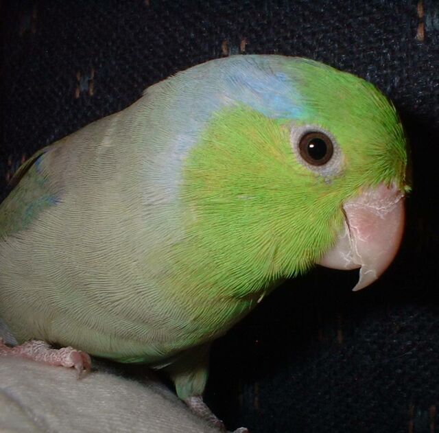 MisterB