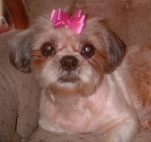 Xue 6/18/03
