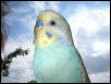 Puffy in the sky (no diamonds)