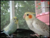 Puffy talking to Sookie