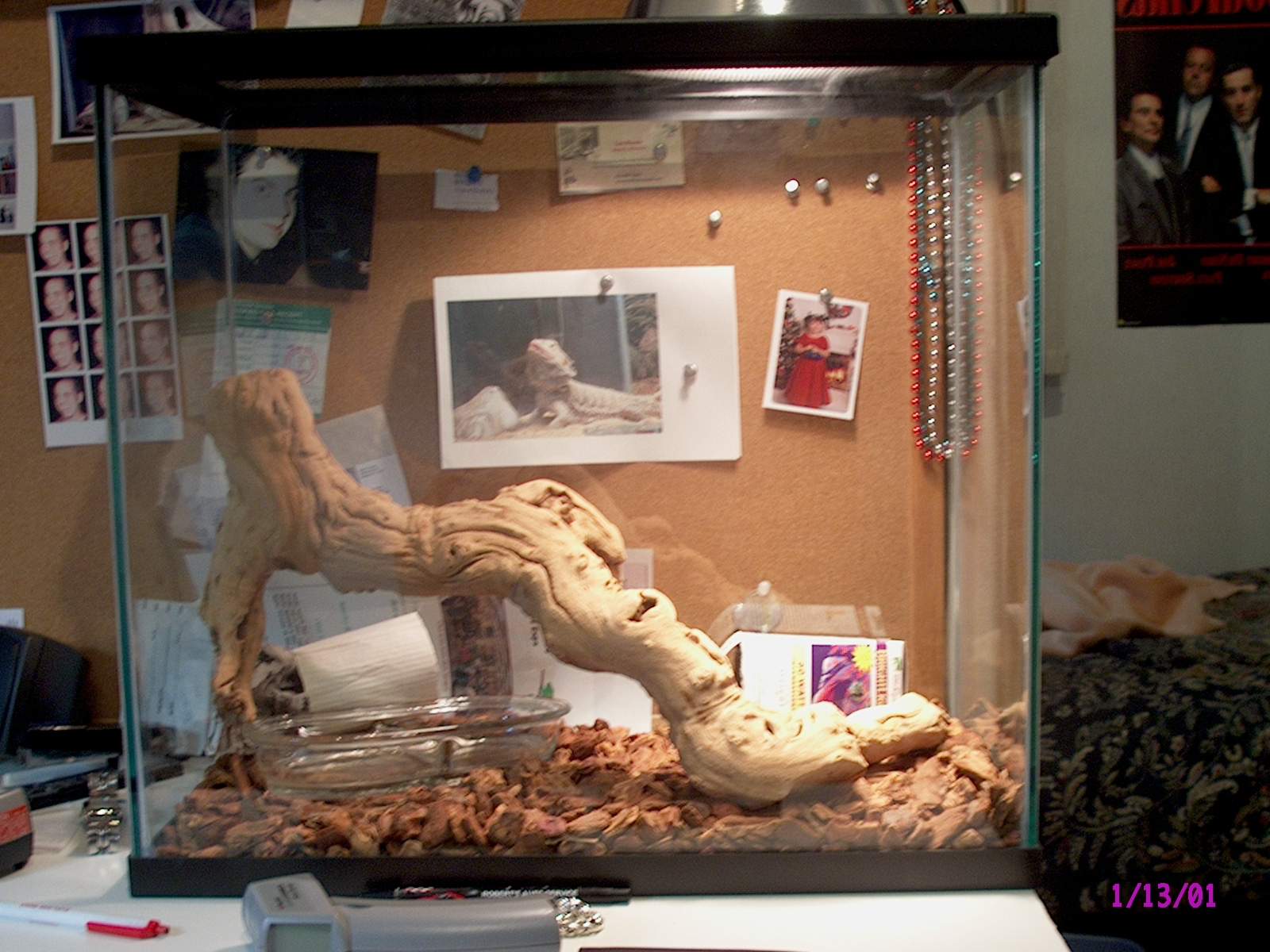 snake tank