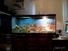 Ricardo`s Home (For Now)