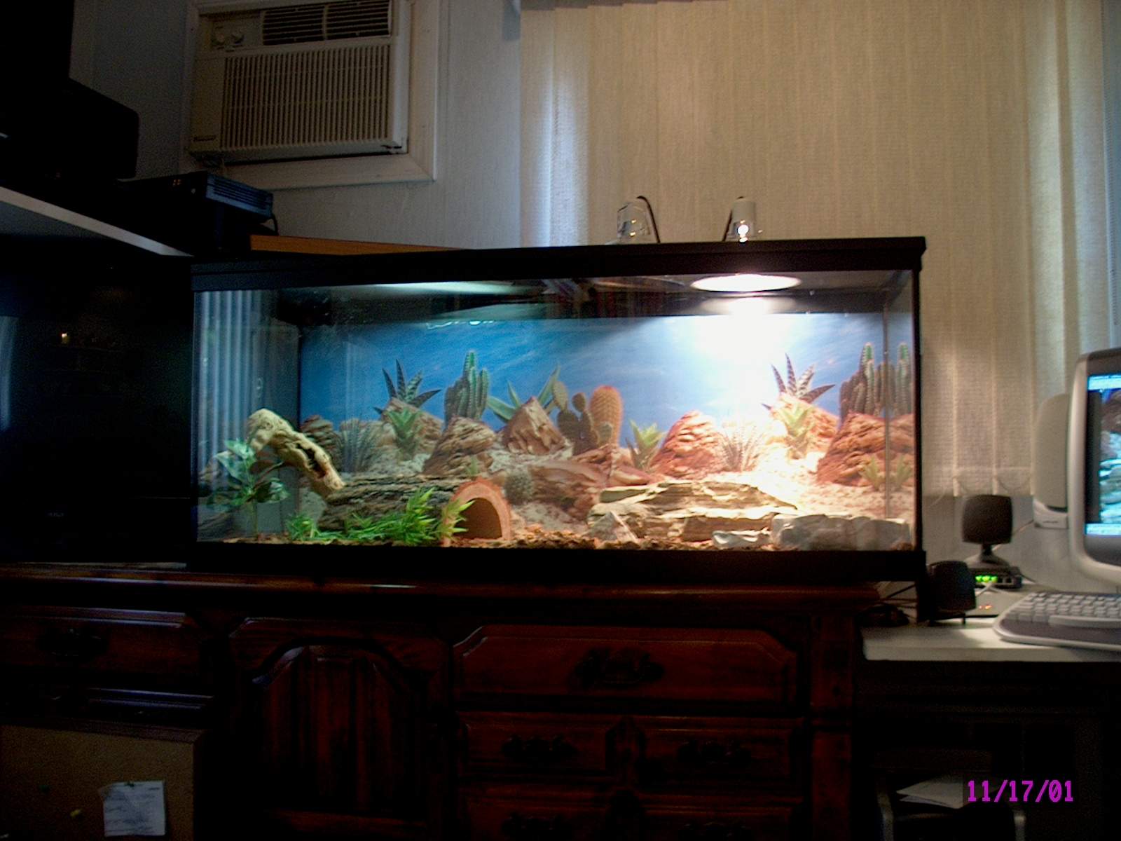 Ricardo`s Home (For Now)