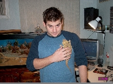 2 pals