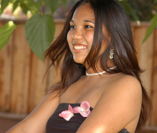 gemma model