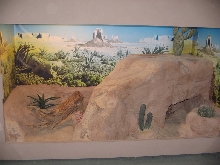 Bearded Dragon Cage