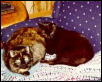 Together