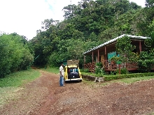 Madagascar; Montagne d'Ambre