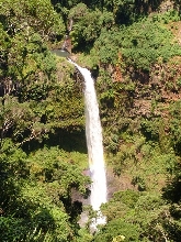 Madagascar; Montagne d'Ambre
