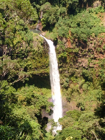 Madagascar; Montagne d'Ambre