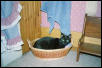 Mittens favorite spot