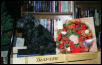 Little Lady Xmas 2001